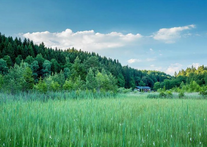 Hochzeitslocation-München-Waldhaus-Deininger-Weiher-2