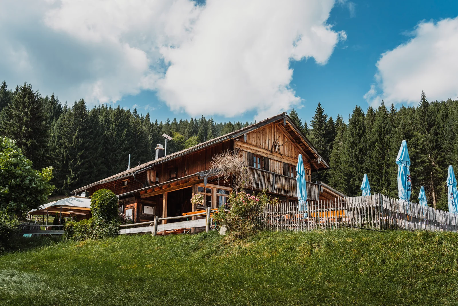 Holzhütte der Edelsberghütte mit Terrasse und Blumenschmuck vor Nadelwald im Sommer